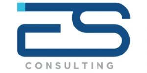 ES Consulting