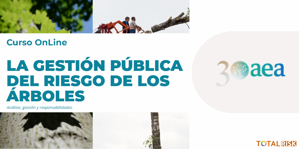 Gestión pública del riesgos de los árboles